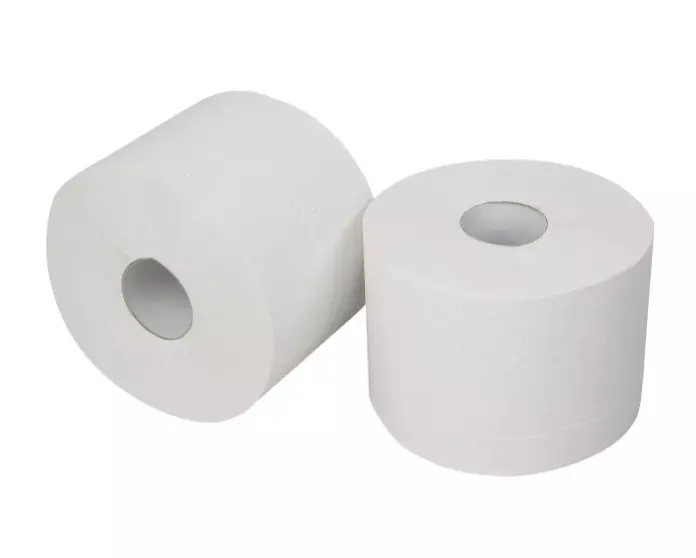Toiletpapier 238224 P50440 compact 2laags 100meter ECO 24rol