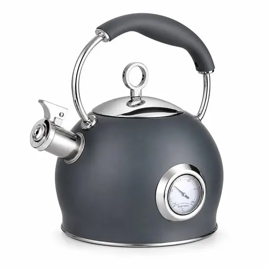 Retro Theepot Roestvrijstalen Fluitketel met Thermometer – 3L – RVS Waterketel voor Inductie, Gas, Elektrisch & Keramisch – Fluitende Schenktuit – Antraciet 