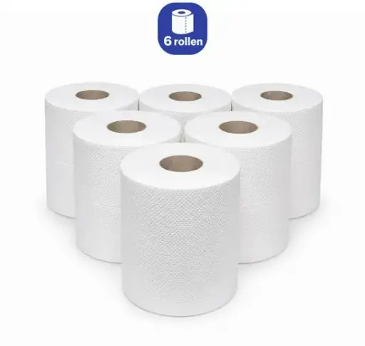 NaturaSterk Midi Poetspapier Cellulose 2-laags Met Zakje 6 rollen 4 Kg YT pr/02807 