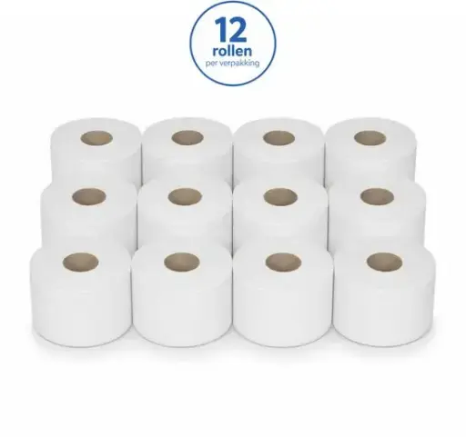 NaturaSterk Toilet Papier Mini Jumbo Cellulose 2 Laags  4,5 kg +/- 108 m+/- 12 Rollen 