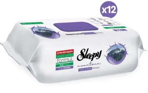 [SP150137] S. SURFACE CLEANING WIPES 100 PCS MOUNTAIN BREEZE