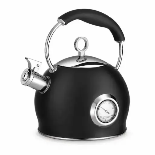 Retro Theepot Roestvrijstalen Fluitketel met Thermometer – 3L – RVS Waterketel voor Inductie, Gas, Elektrisch & Keramisch – Fluitende Schenktuit – Zwart 